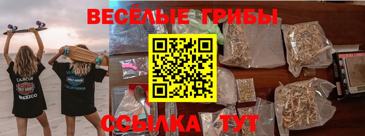 Псилоцибиновые грибы Cubensis  Вход с VPN  Свободный 